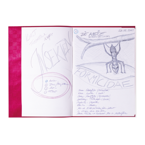 Skizze einer Ameise mit dem Titel "Formicidae" und Notizen zu Insekten. Datum: 22.02.2023. Enthält Kategorien wie "Art" und "Farbe".