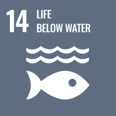 Goal 14: Life Below Water, represented by a fish silhouette and waves on a gray background.