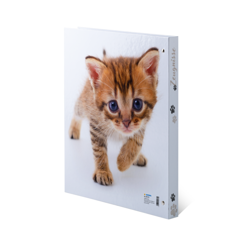 A small striped kitten with big blue eyes is running on a white background.