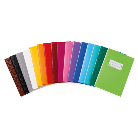 Bunte Ordner in verschiedenen Farben, angeordnet in einer Reihe, mit einem grünen Ordner, der ein Etikett zeigt.