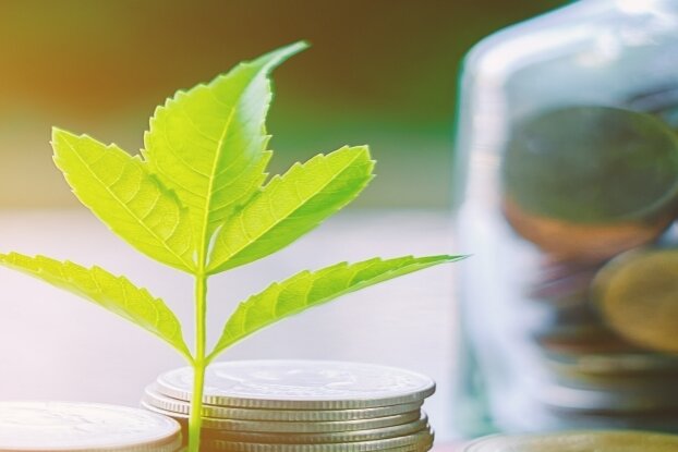 Coins with branch, image motif for 'Economic Labeling', landscape format.