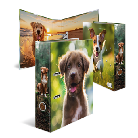 Folder with pictures of puppies playing in nature and looking happy, set against a bright, blurred background landscape.