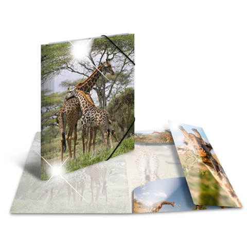 Zwei Giraffen stehen in einer grünen Landschaft, während eine dritte Giraffe im Hintergrund sichtbar ist.