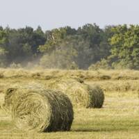 Sustainable Labels: Grass Labels - Meadow with Hay Bales