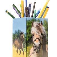 Pen holder with pens