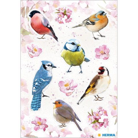 Sechs verschiedene Vögel, darunter ein Gimpel, ein Buchfink und ein Blaumeise, umgeben von zarten Blütenmotiven.