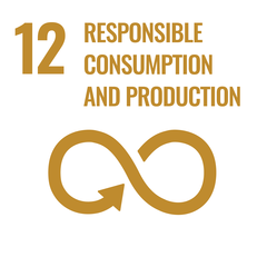 12 Responsible Consumption and Production, represented by an infinity symbol with an arrow.