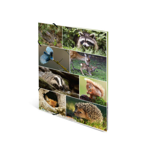 Eine Collage von Wildtieren, darunter ein Waschbär, ein Eichhörnchen, ein Dachs und ein blauer Vogel, umgeben von Gras und Pflanzen.