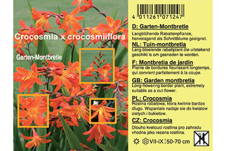 Color Inkjet Roll Labels: Printed Label Example for Montbretia Flower Seeds