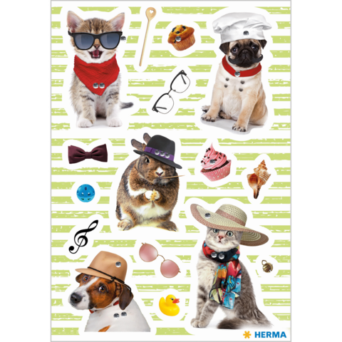 Cats and dogs in various funny outfits and accessories, including sunglasses, hats, and scarves, set against a striped background.
