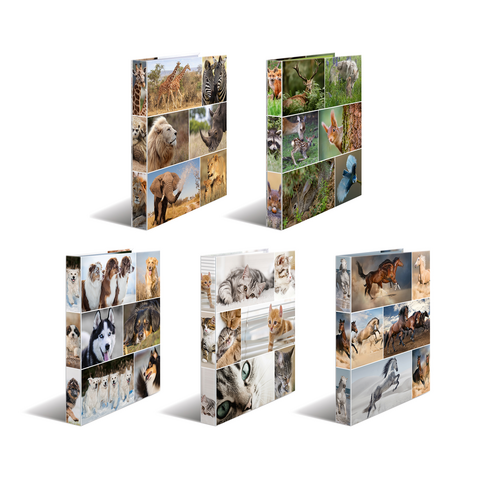 Eine Collage mit verschiedenen Tieren, darunter Löwen, Katzen, Hunde, Füchse und Giraffen, in mehreren Anordnungen.