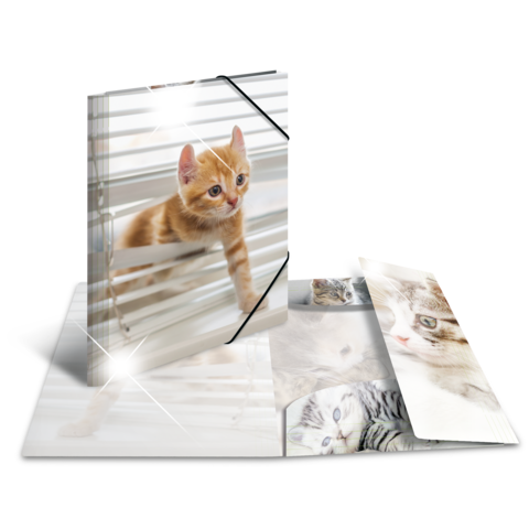 Ein orangefarbener Kater schaut neugierig durch eine Jalousie, umgeben von mehreren Fotos anderer Katzen.