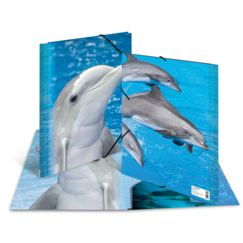 Ein aufgeschlagenes Notizbuch mit einem Bild von einem Delfin und weiteren Delfinen im Wasser.