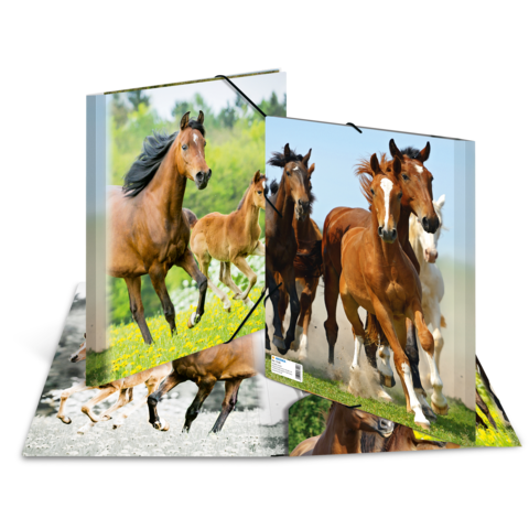 Eine Gruppe von Pferden, darunter Fohlen, läuft auf einer Wiese. Die Pferde sind in verschiedenen Farben und Größen dargestellt.