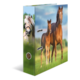 A folder with pictures of two horses, a foal and an adult horse, standing in a meadow.