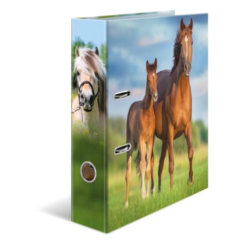 A folder with pictures of two horses, a foal and an adult horse, standing in a meadow.