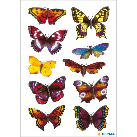 Bunte Schmetterlinge in verschiedenen Farben und Mustern, angeordnet in zwei Reihen auf weißem Hintergrund.