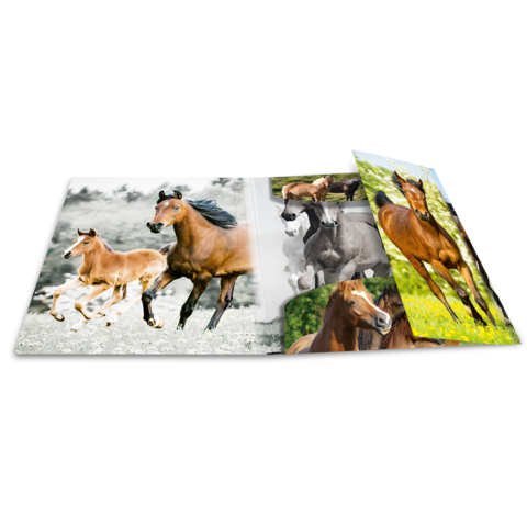 Ein aufgeschlagenes Fotobuch mit Bildern von verschiedenen Pferden, darunter Fohlen und ausgewachsene Tiere in unterschiedlichen Posen.