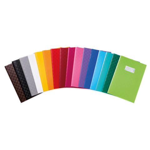 Bunte Ordner in verschiedenen Farben, angeordnet in einer Reihe. Die Farben umfassen Schwarz, Weiß, Gelb, Rot, Pink, Blau, Grün und mehr.