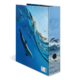 Folder with an image of dolphins jumping over waves against a blue water background.