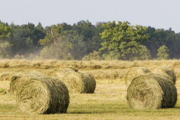 Grass Labels - Meadow with Hay Bales, Landscape Format