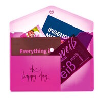 Transparent pink wallet with documents