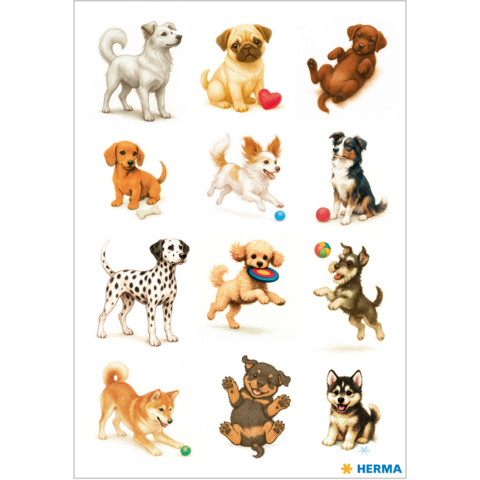 A collection of twelve different dogs in various poses and breeds, including a Dalmatian, a Shiba Inu, and a Chihuahua.