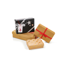 Geschenkpäckchen in verschiedenen Farben und Größen, verziert mit Schleifen und Etiketten, stehen auf einem weißen Hintergrund.