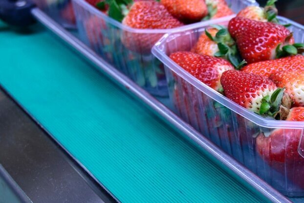 Strawberries in a packaging facility in the food industry, landscape format.