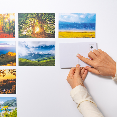 A hand holds a postcard and points to a selection of landscape photos featuring trees, mountains, and meadows.