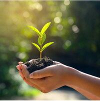 The translation of "Pflanze in Hand Kachel" is "Plant in Hand Tile." However, this phrase seems a bit unclear or out of context. If it refers to a specific concept or idiom, please provide more context for a more accurate translation.