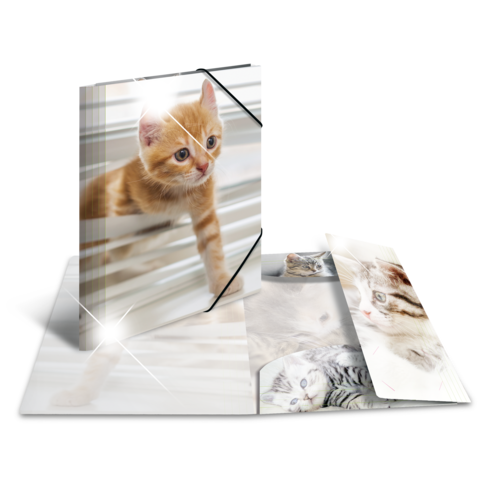 Ein aufklappbares Buch mit einem orangefarbenen Kätzchen auf der Vorderseite und weiteren Katzenbildern im Inneren.