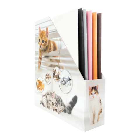 Ordner mit Katzenmotiven und bunten Trennblättern in verschiedenen Farben.