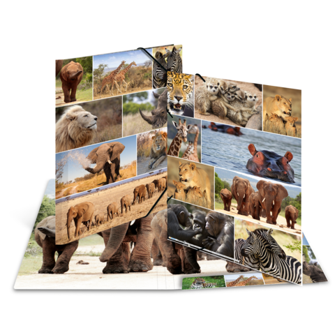 Ein aufgeschlagenes Buch mit verschiedenen Tierfotos, darunter Elefanten, Löwen, Giraffen, Zebras und andere Wildtiere in unterschiedlichen Lebensräumen.