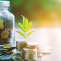 Sustainable Labels: Save Money with HERMA ThinRange Labels