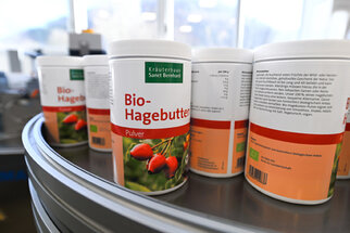 Cans of organic rose hip powder are on a conveyor belt, labeled with product information and an image of rose hips.