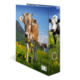 Two cows in a meadow with flowers and mountains in the background, one brown and one black-and-white.