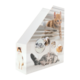 Karton mit Bildern von verschiedenen Katzen, darunter eine graue, eine orangefarbene und eine dreifarbige Katze, in verschiedenen Posen.