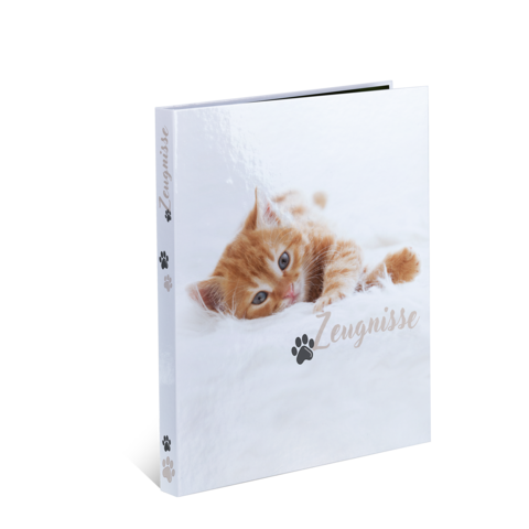 A photo book with an image of a playful orange cat on the cover, labeled 'Zengnisse'.