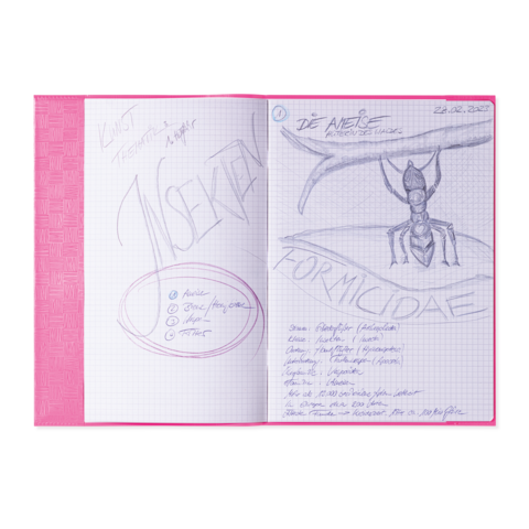 Notizbuchseite mit handschriftlichen Notizen über Ameisen, einschließlich einer Skizze einer Ameise und verschiedenen Punkten zu deren Eigenschaften.