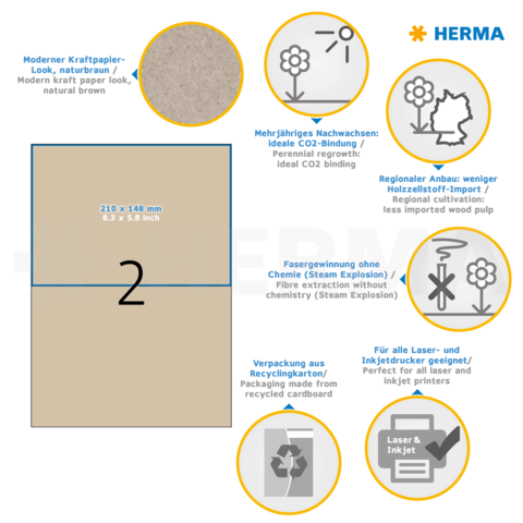 Moderne Kraftpapier-Optik in naturbraun, mit Informationen zu CO2-Bindung, regionalem Anbau und chemiefreier Faserextraktion.