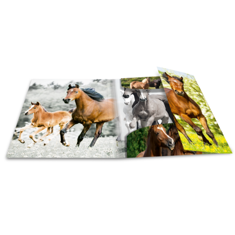 Ein aufgeschlagenes Buch mit Bildern von verschiedenen Pferden, darunter Fohlen und ausgewachsene Tiere in unterschiedlichen Posen und Umgebungen.