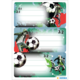Three soccer cards featuring players in action, showing goals and space for notes. Graphic elements in red and green.